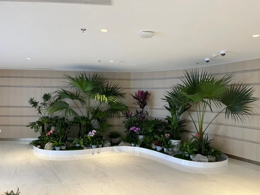 宁波慈溪植物租摆哪家好